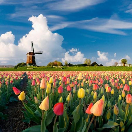 Hotel Crown Amsterdam Bagian luar foto