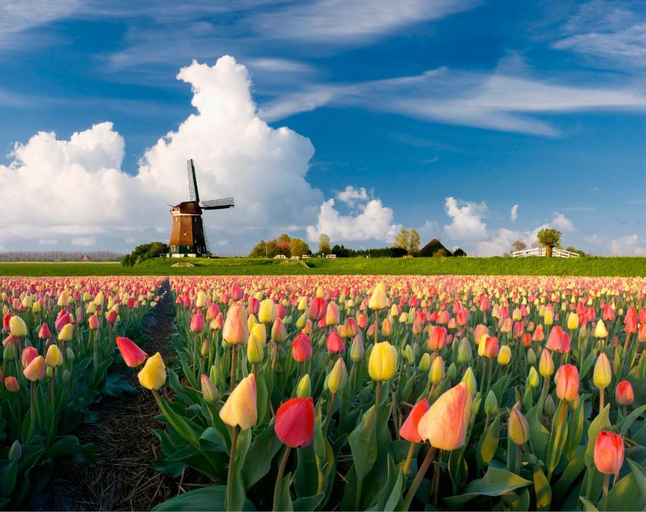 Hotel Crown Amsterdam Bagian luar foto